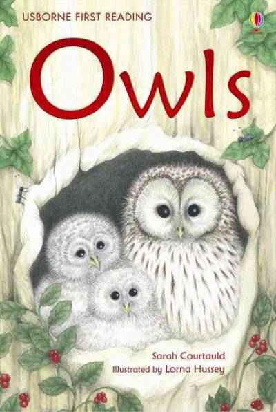 Owls / Sarah Courtauld ; illustrated by Lorna Hussey ; reading consultant: Alison Kelly.