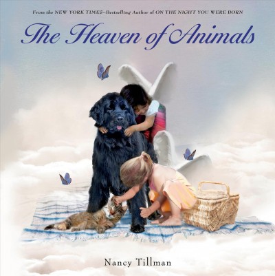 The heaven of animals / Nancy Tillman.