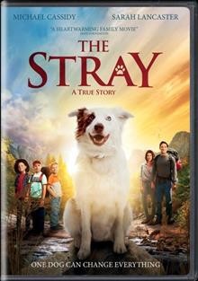 The stray  [video recording (DVD)] / written by Mitch Davis, Parker Davis ; produced and directed by Mitch Davis.