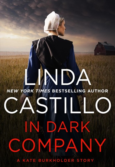 In dark company / Linda Castillo.
