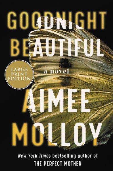 Goodnight beautiful : a novel / Aimee Molloy.