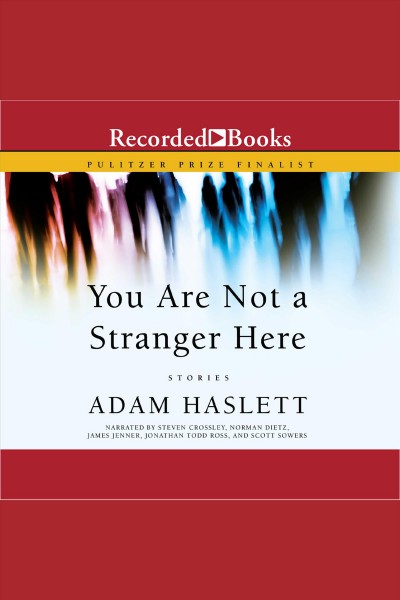 You are not a stranger here [electronic resource] : Stories. Haslett Adam.