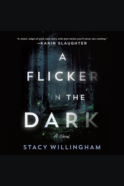 A flicker in the dark [electronic resource] : A novel. Stacy Willingham.