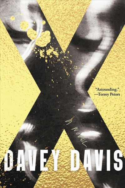 X : A Novel / Davey Davis.