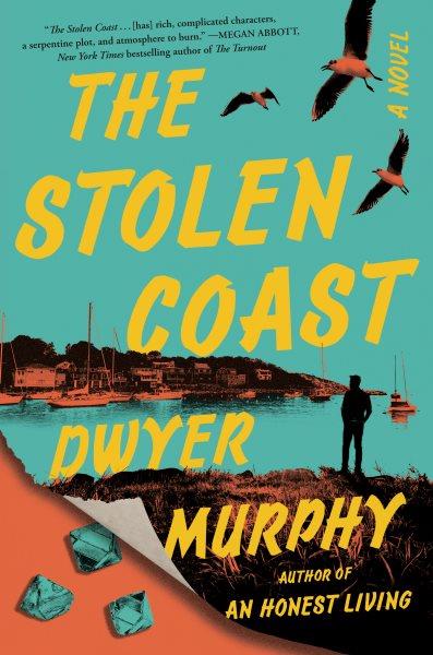 The stolen coast / Dwyer Murphy.