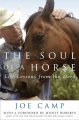 The soul of a horse : life lessons from the herd  Cover Image