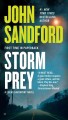 Storm prey Cover Image