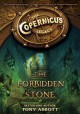 The forbidden stone  Cover Image