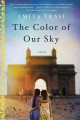 The Color of Our Sky : a Novel  Cover Image