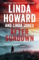 After sundown : a novel  Cover Image