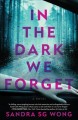 In the dark we forget : a novel  Cover Image
