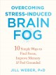 Overcoming stress-induced brain fog  Cover Image